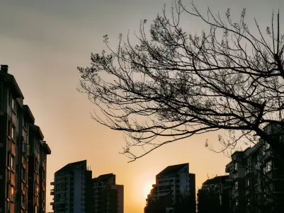 Casino Craze Play Mobile App